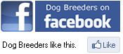 Dogo+argentino+puppies+for+sale+in+florida