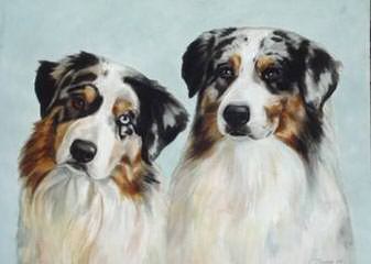 Australian Shepherd Pups - Dog and Puppy Pictures