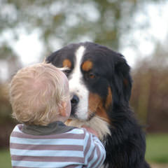 Kennel Chosna - Dog Breeders