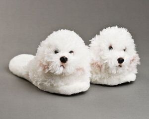 Female Bichon Seeking Male In Oregon - Dog Breeders