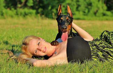 Vor Allem Dobermanns Reg’d - Dog and Puppy Pictures