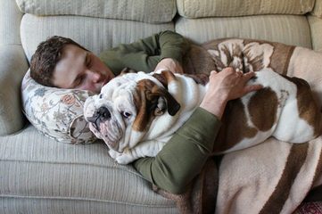 Heavenly Angelic Bulldogs - Dog and Puppy Pictures