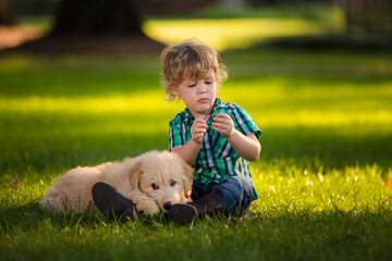 Burr Oaks Dood Ranch. Goldendoodles - Dog Breeders