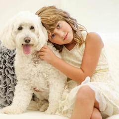 Doodle Heaven Goldendoodle - Dog and Puppy Pictures