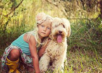 Miniature Australian Labradoodle Puppy - Dog and Puppy Pictures