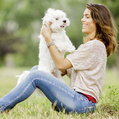 Susen’s Maltese - Dog Breeders