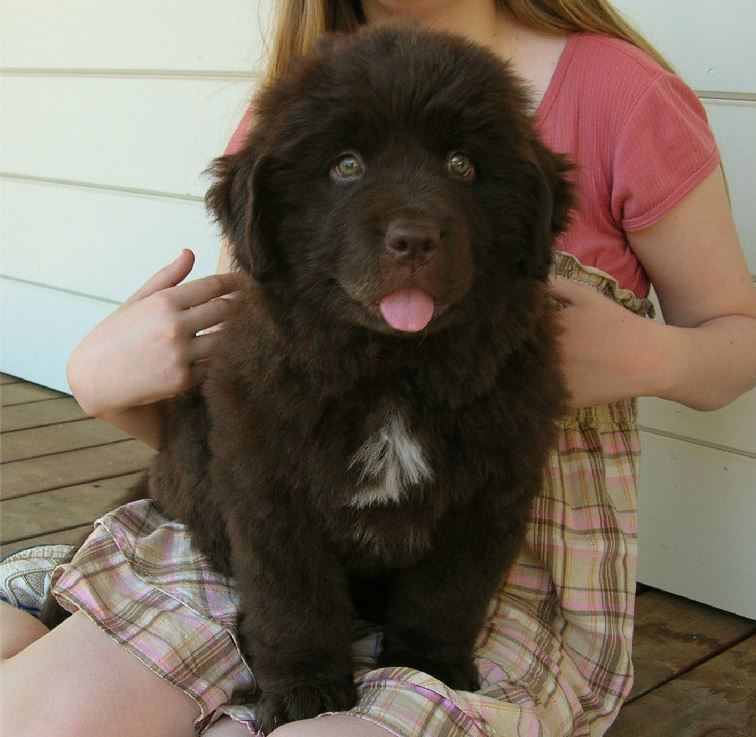 Adult ladies pussy labrador city, newfoundland