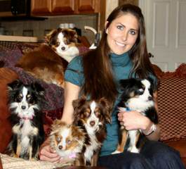 Montana Cowboy Justin’s Toy Aussies - Dog Breeders