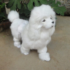 Swancreek Toy Poodles N More - Dog Breeders