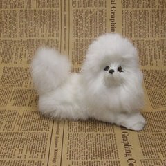 Tiny Toy Poodles - Dog Breeders