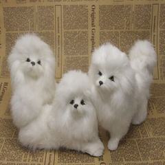 Madthai Toy Poodles - Dog Breeders