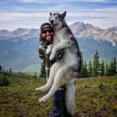 Western Wolf Husky Pack - Dog Breeders